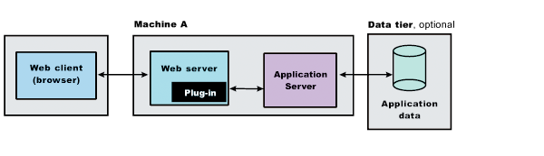 Application Server with optional Web server on one machine