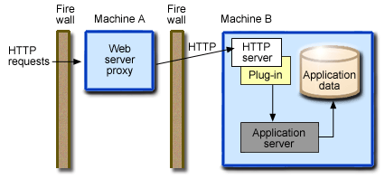 Reverse proxy topology