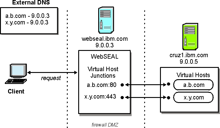 Virtual host junction scenario 1