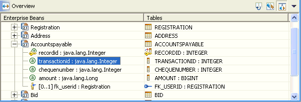 Screen capture of the Overview pane of the Mapping editor.