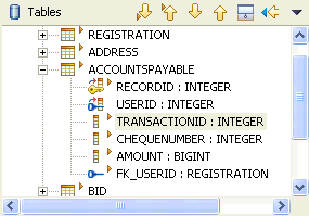 Screen capture of the Tables pane of the Mapping editor.