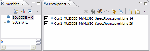 Debug view variable and breakpoint settings