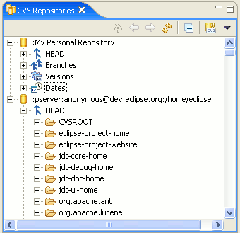 CVS Repositories View