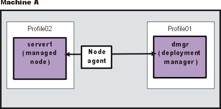 Multiple nodes exist only in the dmgr profile