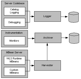 Relationship of Data Creation Components to Data Collection Components