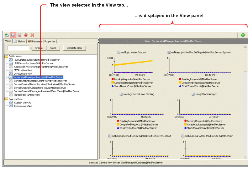 Views Tab and View Panel